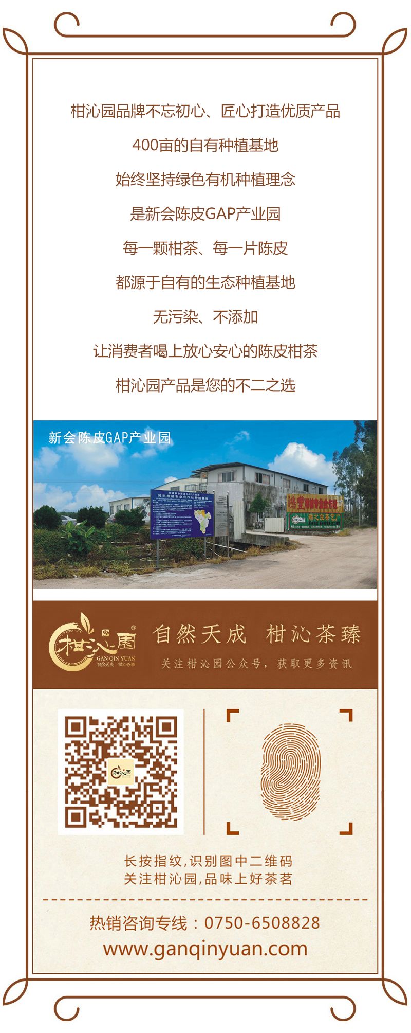 当“新冠肺炎”遇上新会陈皮!