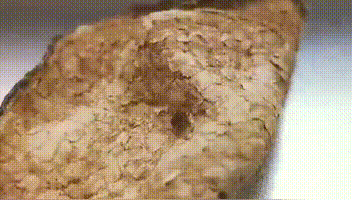 一篇帮您搞懂，陈皮出了这些状况还可不可以食用！