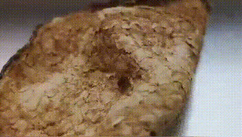 翻晒陈皮的正确 “姿势” ，让您的陈皮在自然陈化下历久弥香..