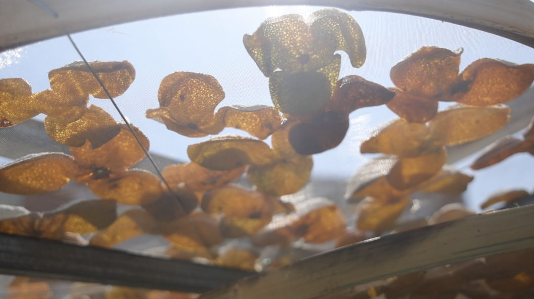 厉害了！柑沁园连传两则喜讯！