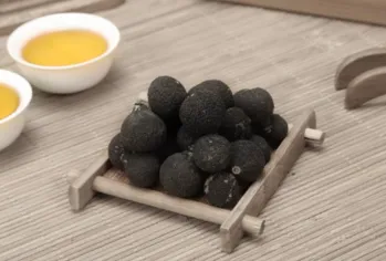 小小柑胎前来报道！茶界“新贵”你认识吗？
