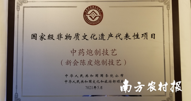 非遗传承 | 新会陈皮正式“获颁”国家级非遗牌匾！
