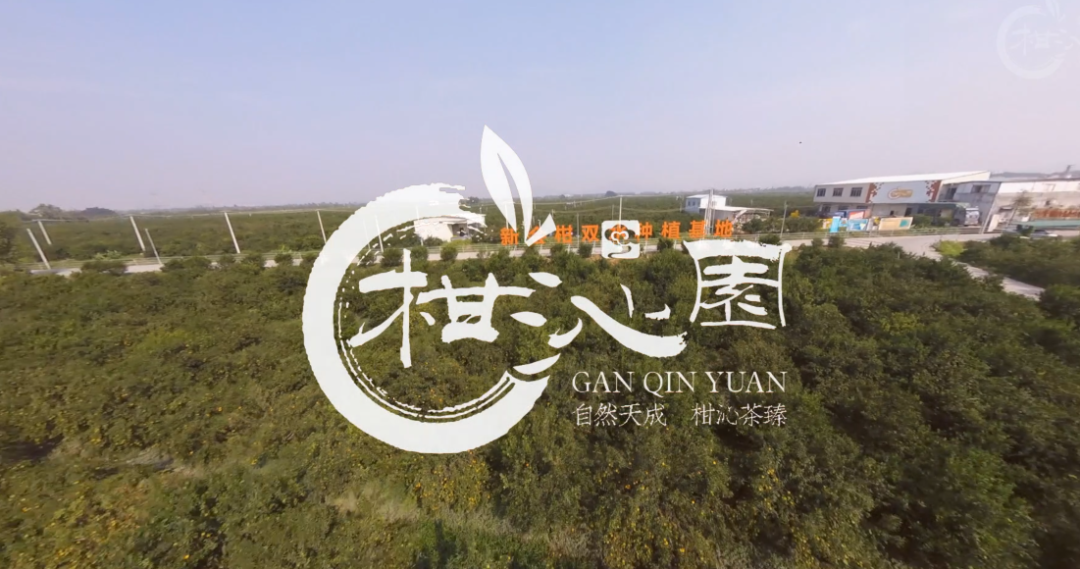 赞！新会陈皮溯源有保障！企业负责人入选首期“珠江农创”孵化营！