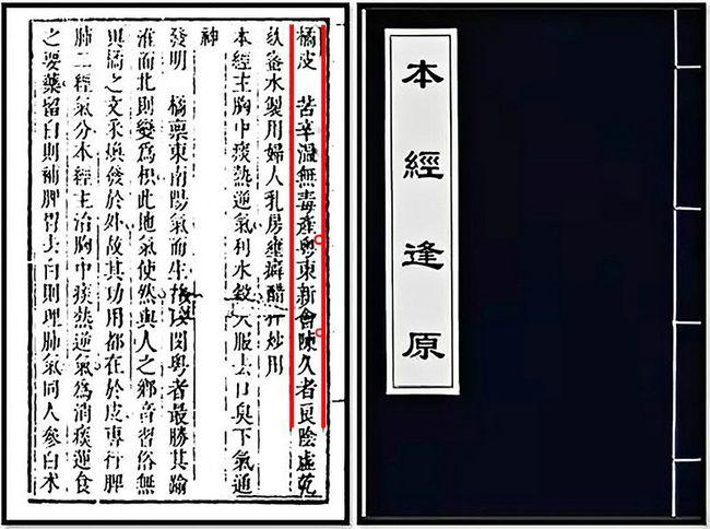 走进新会陈皮的世界，探寻新会陈皮的前世今生