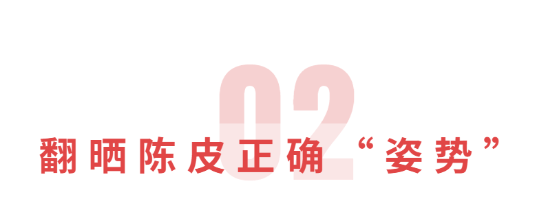 干货分享 | 新会陈皮翻晒有讲究，发现陈皮有蛀虫莫慌！