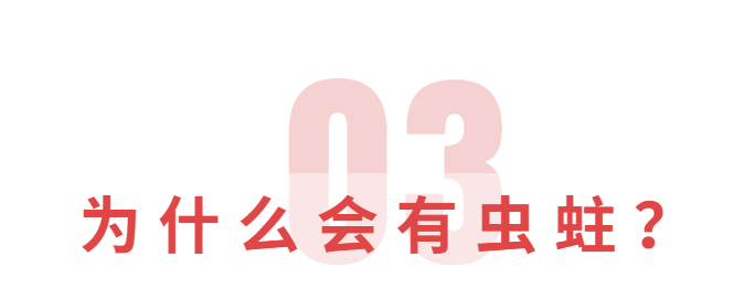 干货分享 | 新会陈皮翻晒有讲究，发现陈皮有蛀虫莫慌！