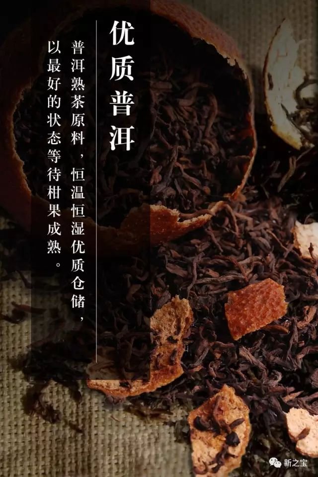 柑普当红，柑沁浓情