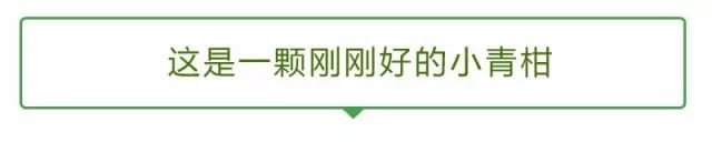 鲜爽醇香，柑沁园小青柑火热上市！