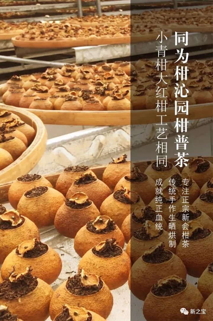 青柑红柑，哪款才是爆款网红？
