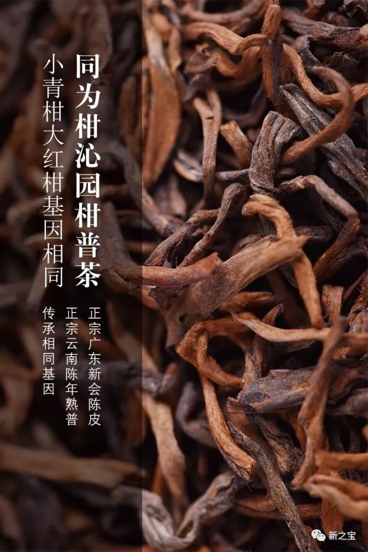 青柑红柑，哪款才是爆款网红？