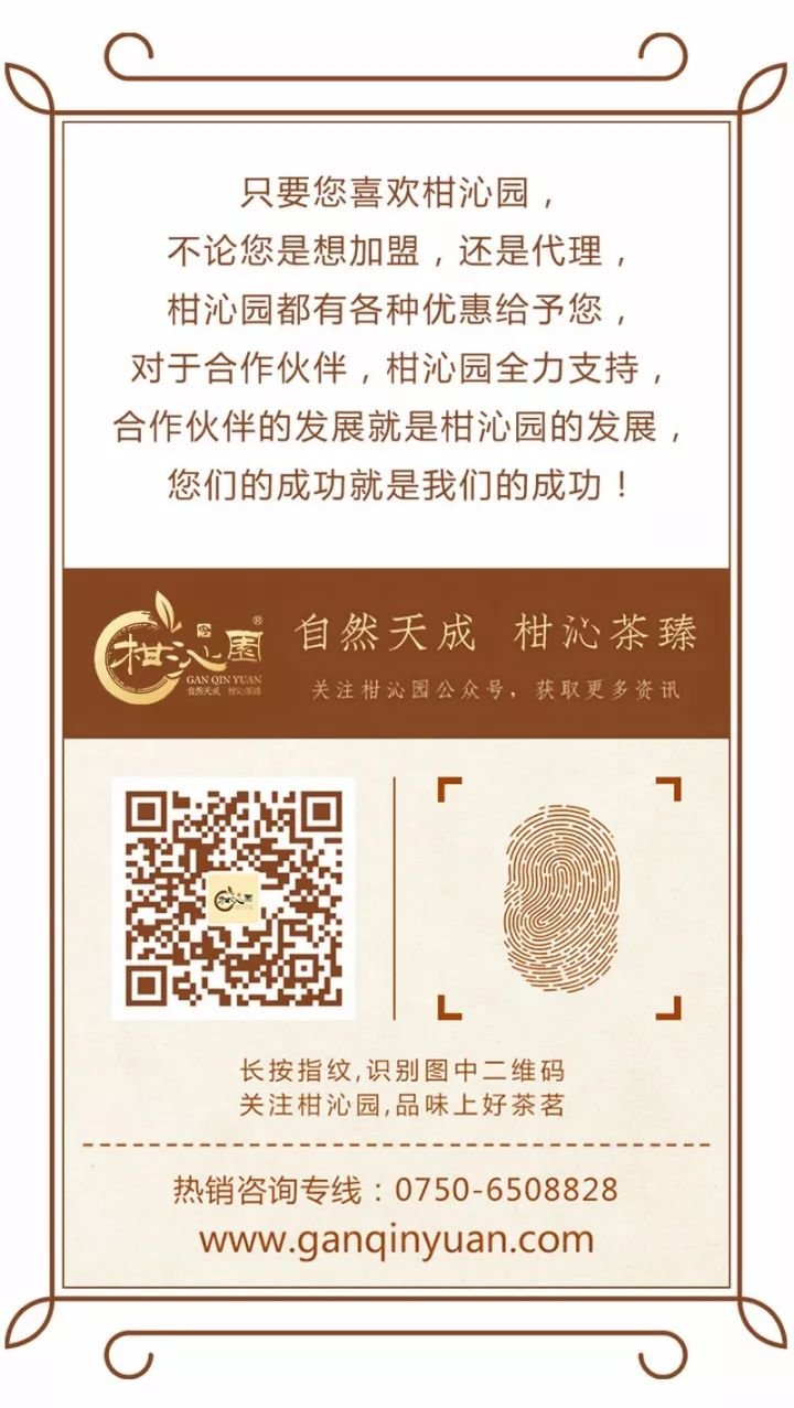 青柑红柑，哪款才是爆款网红？