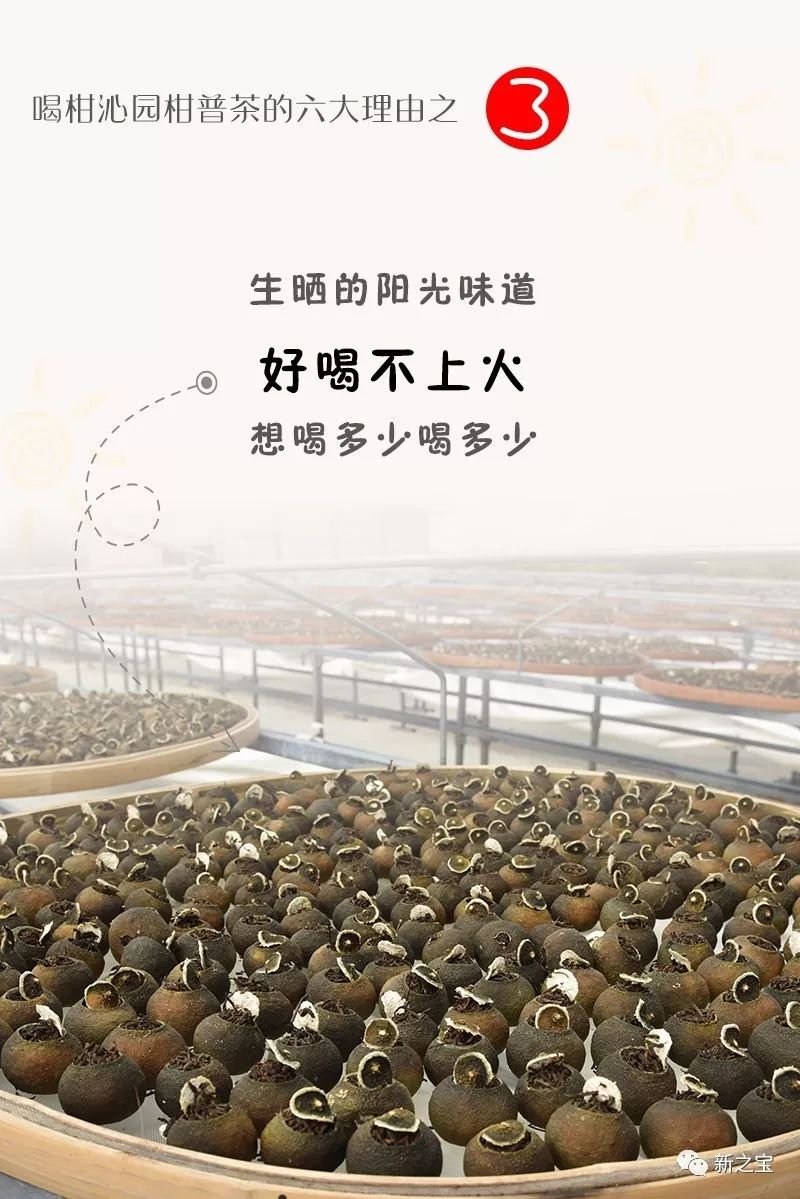 喝柑普茶的六个理由，够不够？